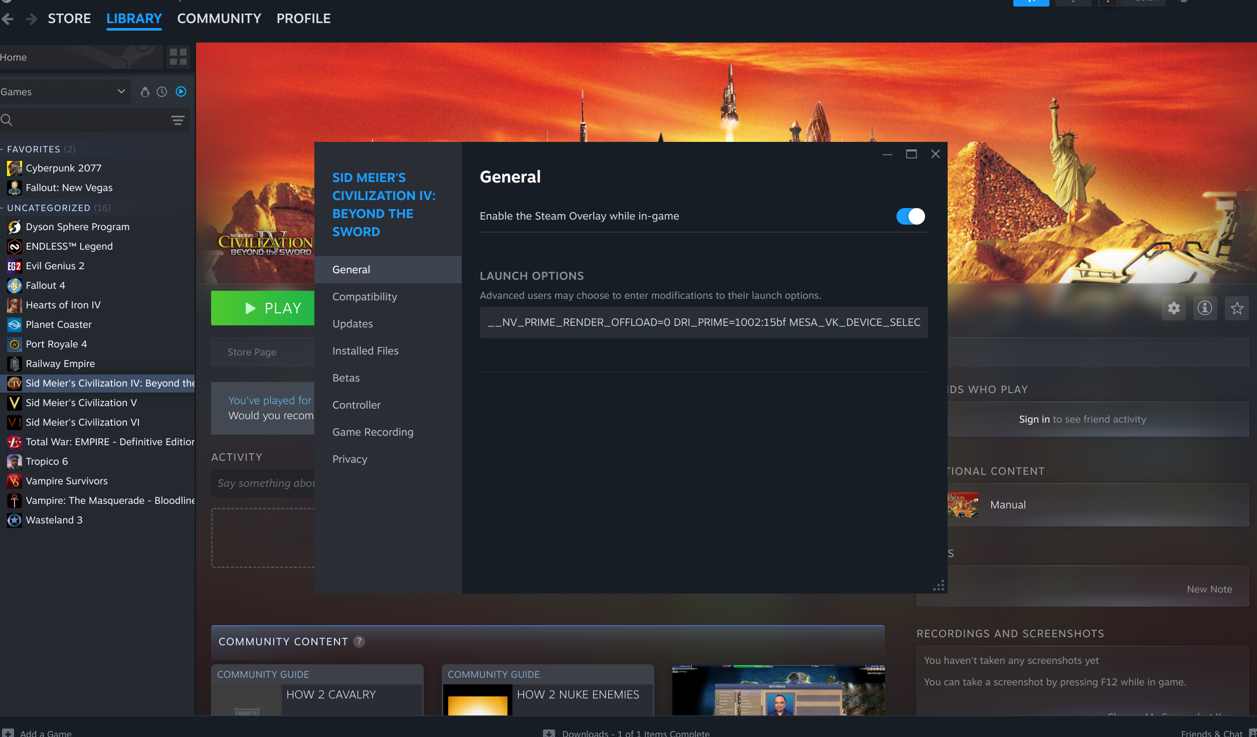 Steam launch options